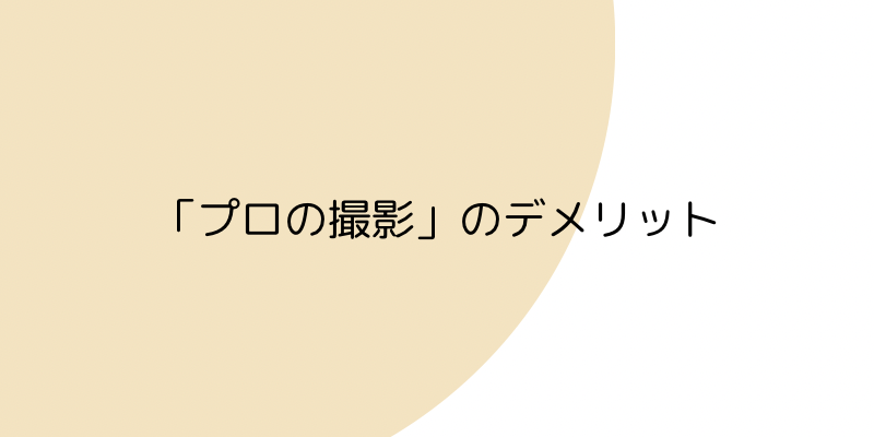プロの撮影のデメリットの画像