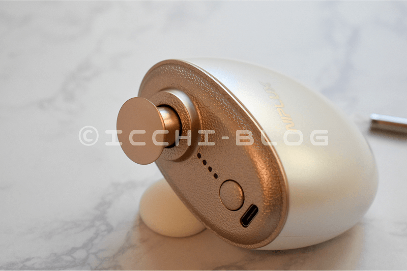 NIPLUX BEGUN(ビガン)の画像2