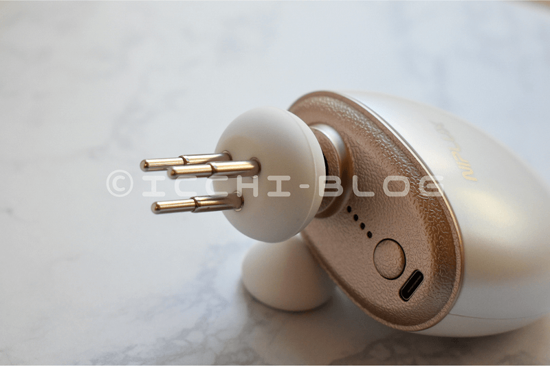 NIPLUX BEGUN(ビガン)の画像4